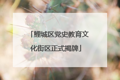 鲤城区党史教育文化街区正式揭牌