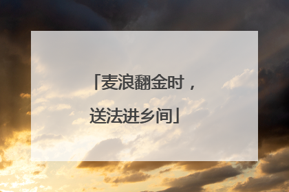 麦浪翻金时，送法进乡间