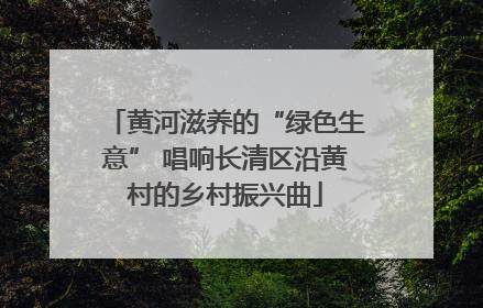 黄河滋养的“绿色生意” 唱响长清区沿黄村的乡村振兴曲