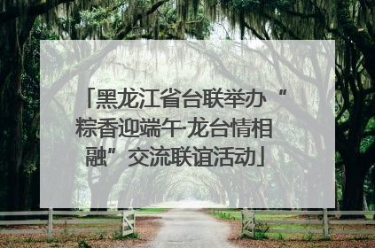 黑龙江省台联举办“粽香迎端午·龙台情相融”交流联谊活动