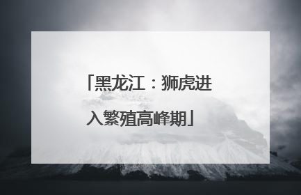 黑龙江：狮虎进入繁殖高峰期