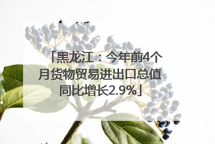 黑龙江：今年前4个月货物贸易进出口总值同比增长2.9%