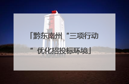 黔东南州“三项行动”优化招投标环境