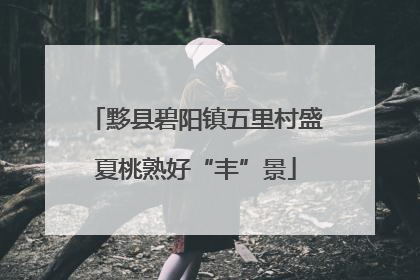 黟县碧阳镇五里村盛夏桃熟好“丰”景