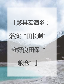 黟县宏潭乡：落实“田长制” 守好良田保“粮仓”