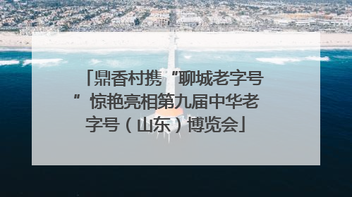 鼎香村携“聊城老字号”惊艳亮相第九届中华老字号（山东）博览会