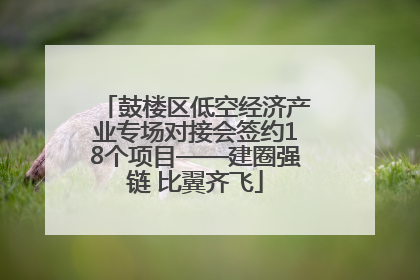 鼓楼区低空经济产业专场对接会签约18个项目——建圈强链 比翼齐飞