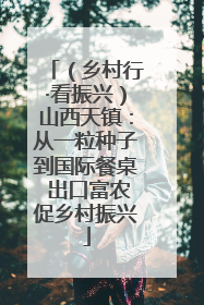 （乡村行·看振兴）山西天镇：从一粒种子到国际餐桌 出口富农促乡村振兴