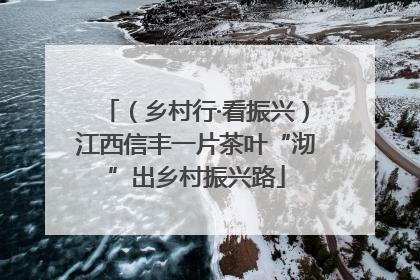 （乡村行·看振兴）江西信丰一片茶叶“沏”出乡村振兴路