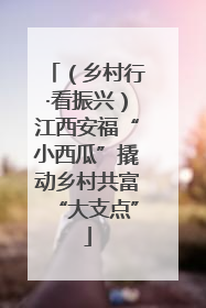 （乡村行·看振兴）江西安福“小西瓜”撬动乡村共富“大支点”