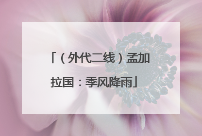 （外代二线）孟加拉国：季风降雨