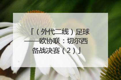 （外代二线）足球——欧协联：切尔西备战决赛（2）