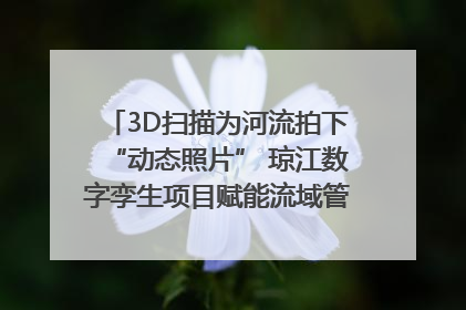 3D扫描为河流拍下“动态照片” 琼江数字孪生项目赋能流域管理｜新闻发布最前线