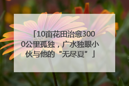 10亩花田治愈3000公里孤独，广水独眼小伙与他的“无尽夏”
