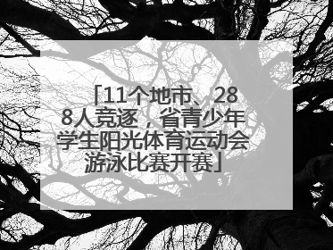 11个地市、288人竞逐，省青少年学生阳光体育运动会游泳比赛开赛