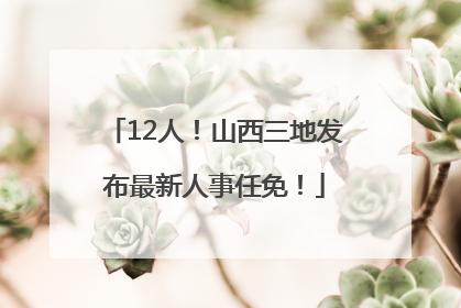 12人！山西三地发布最新人事任免！