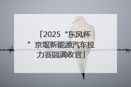 2025“东风杯”京堰新能源汽车拉力赛圆满收官