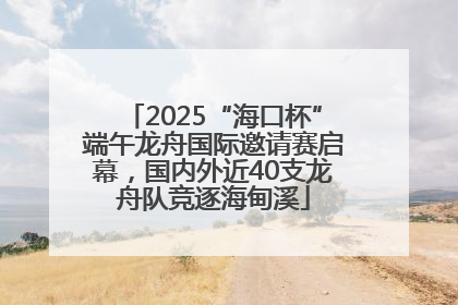 2025“海口杯”端午龙舟国际邀请赛启幕，国内外近40支龙舟队竞逐海甸溪