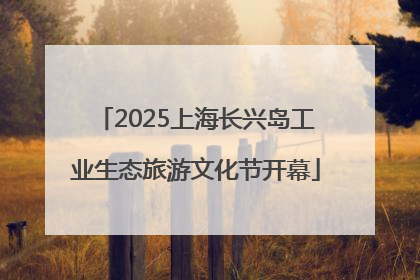 2025上海长兴岛工业生态旅游文化节开幕