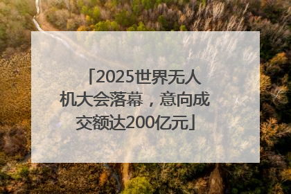 2025世界无人机大会落幕，意向成交额达200亿元