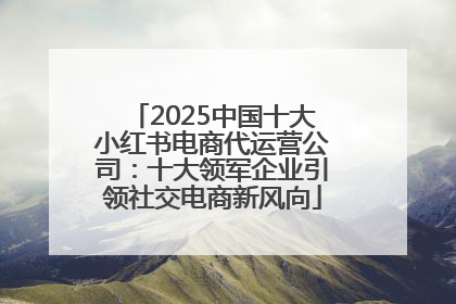 2025中国十大小红书电商代运营公司：十大领军企业引领社交电商新风向