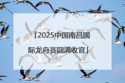 2025中国南昌国际龙舟赛圆满收官