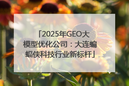 2025年GEO大模型优化公司：大连蝙蝠侠科技行业新标杆