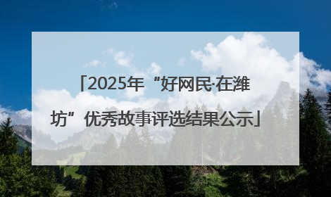 2025年“好网民·在潍坊”优秀故事评选结果公示