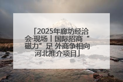 2025年廊坊经洽会·现场丨国际招商“磁力”足 外商争相向河北推介项目