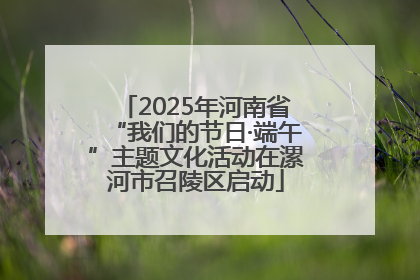 2025年河南省“我们的节日·端午”主题文化活动在漯河市召陵区启动