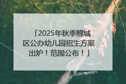 2025年秋季鲤城区公办幼儿园招生方案出炉！范围公布！