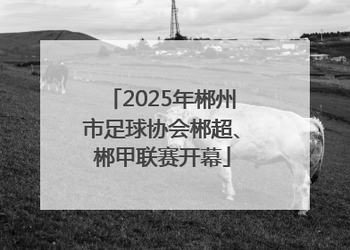 2025年郴州市足球协会郴超、郴甲联赛开幕