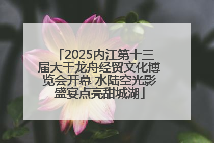2025内江第十三届大千龙舟经贸文化博览会开幕 水陆空光影盛宴点亮甜城湖