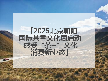 2025北京朝阳国际茶香文化周启动 感受“茶+”文化消费新业态