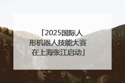 2025国际人形机器人技能大赛在上海张江启动