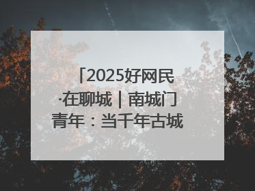 2025好网民·在聊城｜南城门青年：当千年古城遇见青春歌谣 一湖碧水见证的“聊城式浪漫”