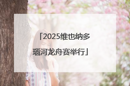 2025维也纳多瑙河龙舟赛举行
