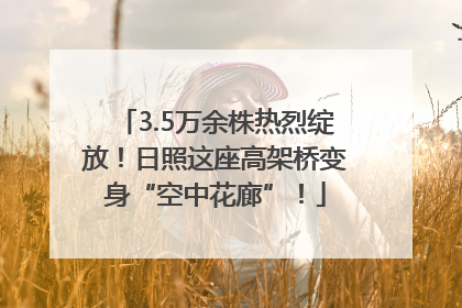 3.5万余株热烈绽放！日照这座高架桥变身“空中花廊”！