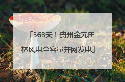 363天！贵州金元田林风电全容量并网发电