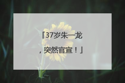 37岁朱一龙，突然官宣！