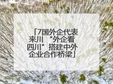 7国外企代表来川 “外企看四川”搭建中外企业合作桥梁