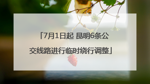 7月1日起 昆明6条公交线路进行临时绕行调整