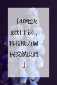 40组灭蚊灯上岗，科技助力居民安然度夏