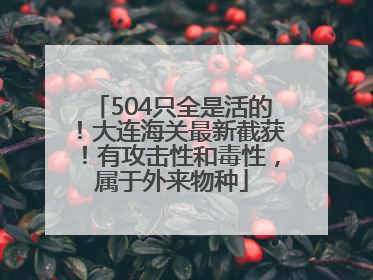 504只全是活的！大连海关最新截获！有攻击性和毒性，属于外来物种