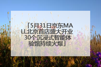5月31日京东MALL北京首店盛大开业 30个沉浸式智能体验馆持续火爆