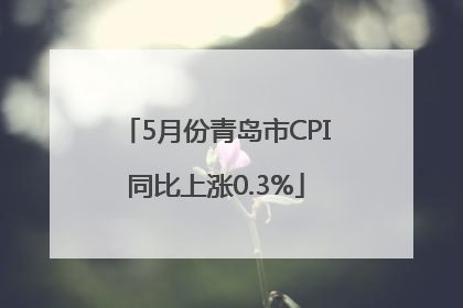 5月份青岛市CPI同比上涨0.3%