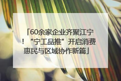 60余家企业齐聚江宁！“宁工品推”开启消费惠民与区域协作新篇