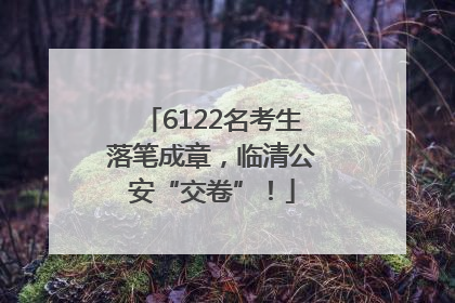 6122名考生落笔成章，临清公安“交卷”！