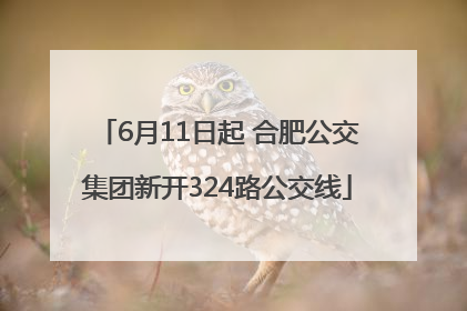 6月11日起 合肥公交集团新开324路公交线