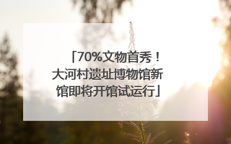 70%文物首秀！大河村遗址博物馆新馆即将开馆试运行